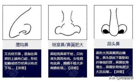 鼻子面相学|十六种鼻子面相图文分析三六风水网